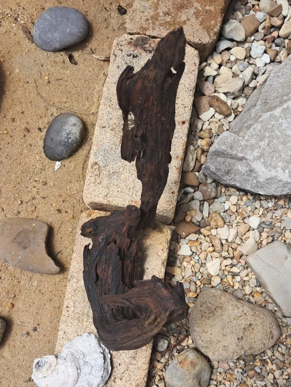 Rustic Oiled Driftwood Accent Sculpture for Home Decor